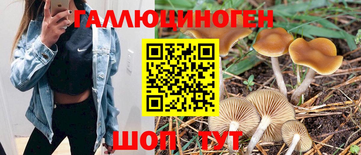 Псилоцибиновые грибы Psilocybine cubensis  Псилоцибиновые грибы Psilocybine cubensis  Вход с VPN  Ярцево 