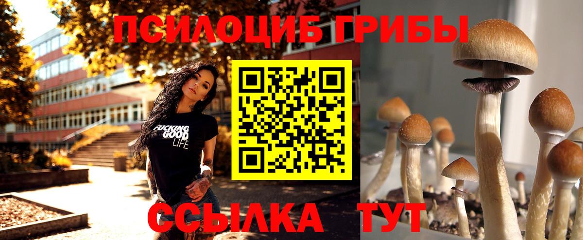 Псилоцибиновые грибы MAGIC MUSHROOMS Ярцево